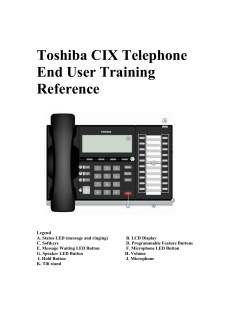Toshiba CIX Quick Reference Guide