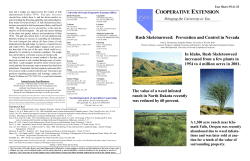 Rush Skeletonweed: Prevention and Control in Nevada