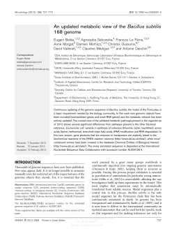 An updated metabolic view of the Bacillus subtilis 168