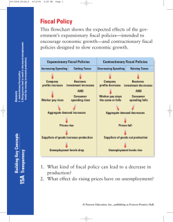 Fiscal Policy