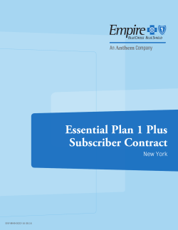 Essential Plan 1 Plus Subscriber Contract New York