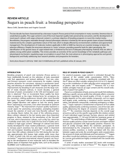 Sugars in peach fruit: a breeding perspective