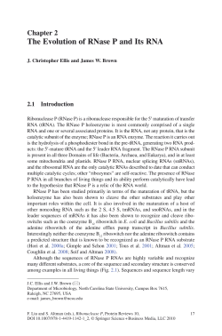 The Evolution of RNase P and Its RNA