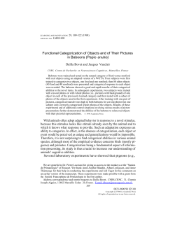 Functional Categorization of Objects and of Their