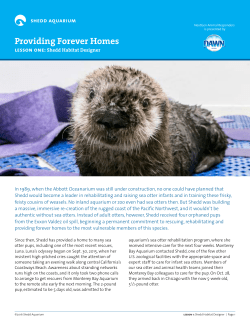 Providing Forever Homes