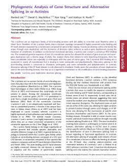 Phylogenetic Analysis of Gene Structure and Alternative Splicing in