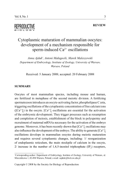 Cytoplasmic maturation of mammalian oocytes: development of a