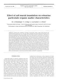 Effect of salt marsh inundation on estuarine particulate organic