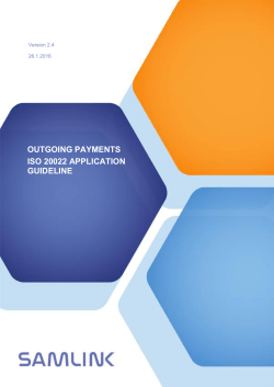 outgoing payments iso 20022 application guideline