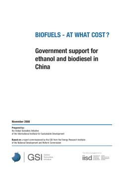 BIOFUELS - AT WHAT COST ? Government support for ethanol and