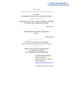 Brief for Elaine Mittleman