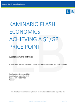 kaminario flash economics: achieving a $1/gb price point