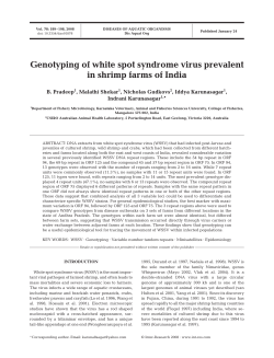 Full text in pdf format