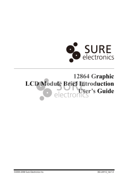 12864 Graphic LCD Module Brief Introduction User`s Guide