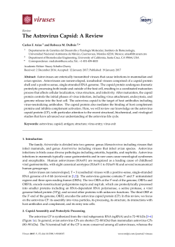 The Astrovirus Capsid: A Review