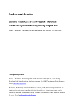 Bears in a forest of gene trees: Phylogenetic inference is