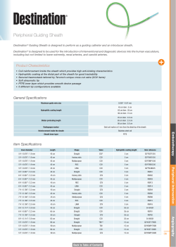 Peripheral Guiding Sheath