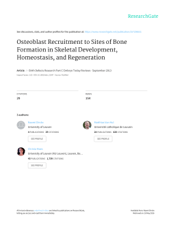 Osteoblast Recruitment to Sites of Bone Formation in