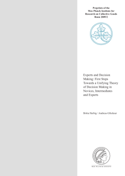Experts and Decision Making: First Steps Towards a Unifying Theory
