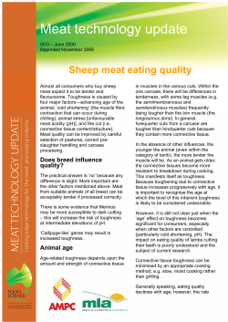 Sheep meat eating quality