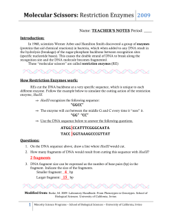 Molecular Scissors: Restriction Enzymes 2009