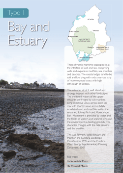 1 Bay and Estuary - Cumbria County Council