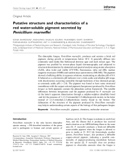 Penicillium marneffei