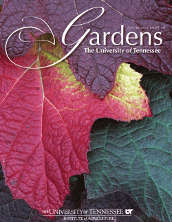 2009_10fallwinter - University of Tennessee Institute of Agriculture