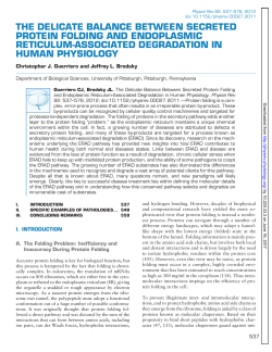 the delicate balance between secreted protein folding and