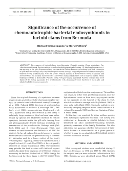 Full text in pdf format