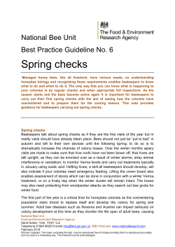 Spring checks