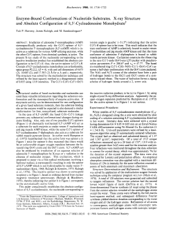 Enzyme-Bound Conformations of Nucleotide Substrates. X