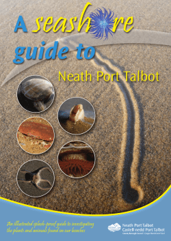 Seashore Guide to NPT - Neath Port Talbot Council