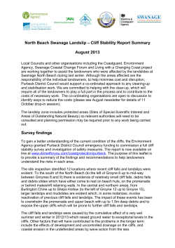 North Beach Swanage Landslip &ndash; Cliff Stability Report Summary
