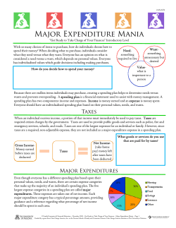 Major Expenditure Mania - South Houston High School