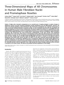 Three-Dimensional Maps of All Chromosomes in Human