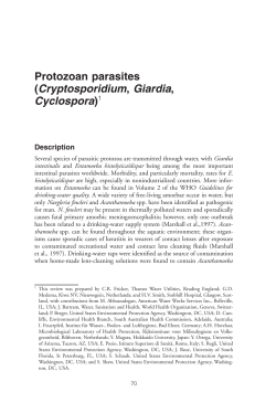 Protozoan parasites (Cryptosporidium, Giardia, Cyclospora)1