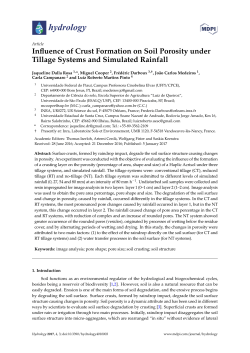 Influence of Crust Formation on Soil Porosity under Tillage Systems