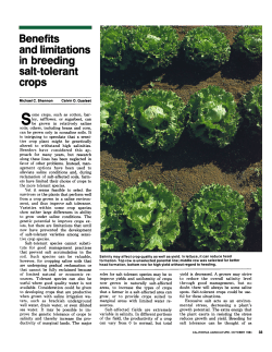 Benefits and limitations in breeding salt-tolerant crops