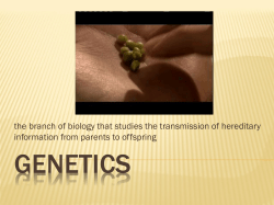 the branch of biology that studies the transmission of hereditary