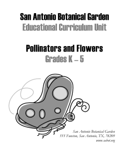 Pollinators and Flowers - San Antonio Botanical Garden