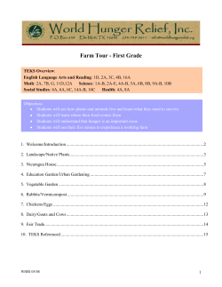 First Grade &ndash; Highlight Tour