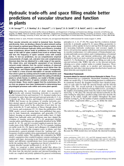 Hydraulic trade-offs and space filling enable better predictions of
