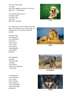 I am man`s best friend. I am loyal. I am a four