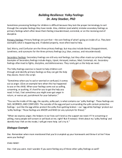 Dr. Amy Stoeber`s Yolky Feelings