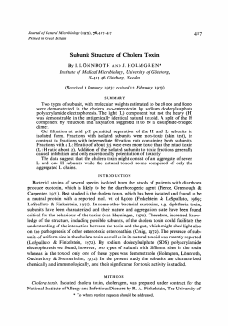 Subunit Structure of Cholera Toxin