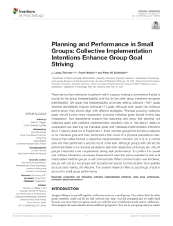 Planning and Performance in Small Groups