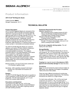 ANTI-FLAG M2 Magnetic Beads (M8823) - Technical