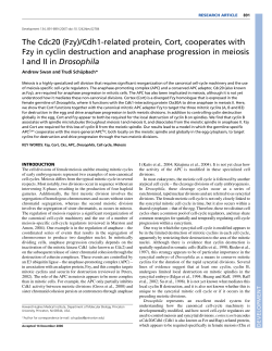 The Cdc20 (Fzy)/Cdh1-related protein, Cort