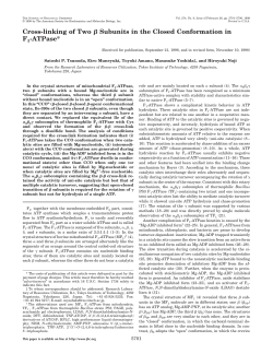 Cross-linking of Two Subunits in the Closed Conformation in F1